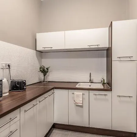 Apartment Design Downtown *