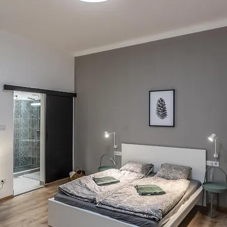 Design Downtown Apartment Budapest