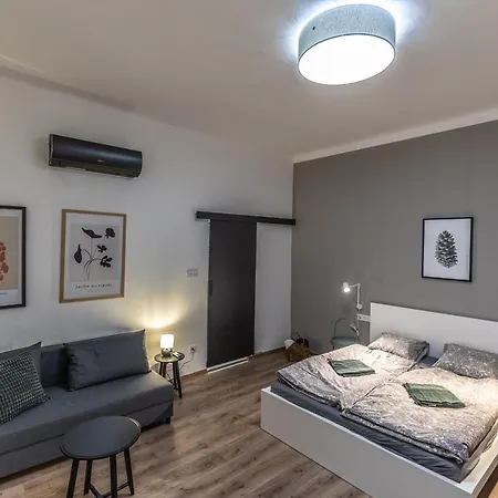 Apartment Design Downtown Budapest
