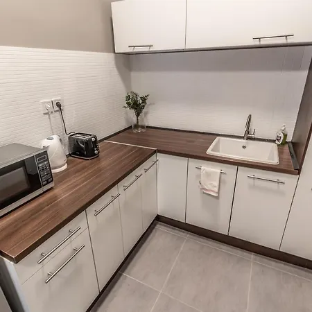 Design Downtown Apartman *