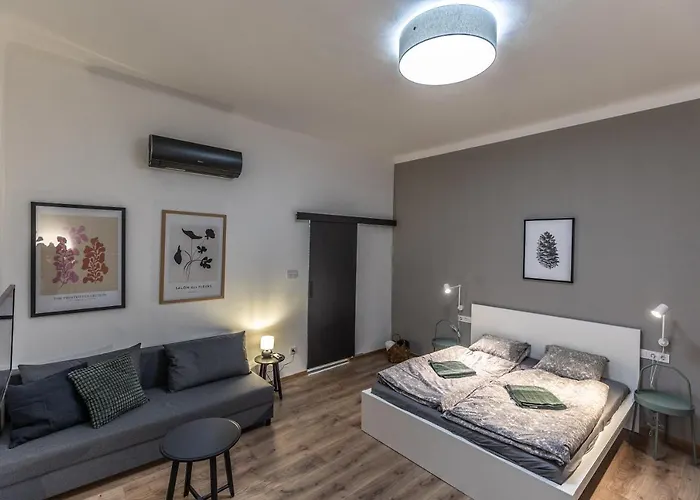 Apartment Design Downtown Budapest